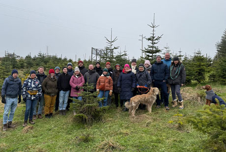 hotz-architekten im Wald
