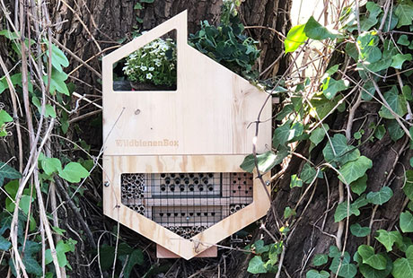 Neues Zuhause für Wildbienen