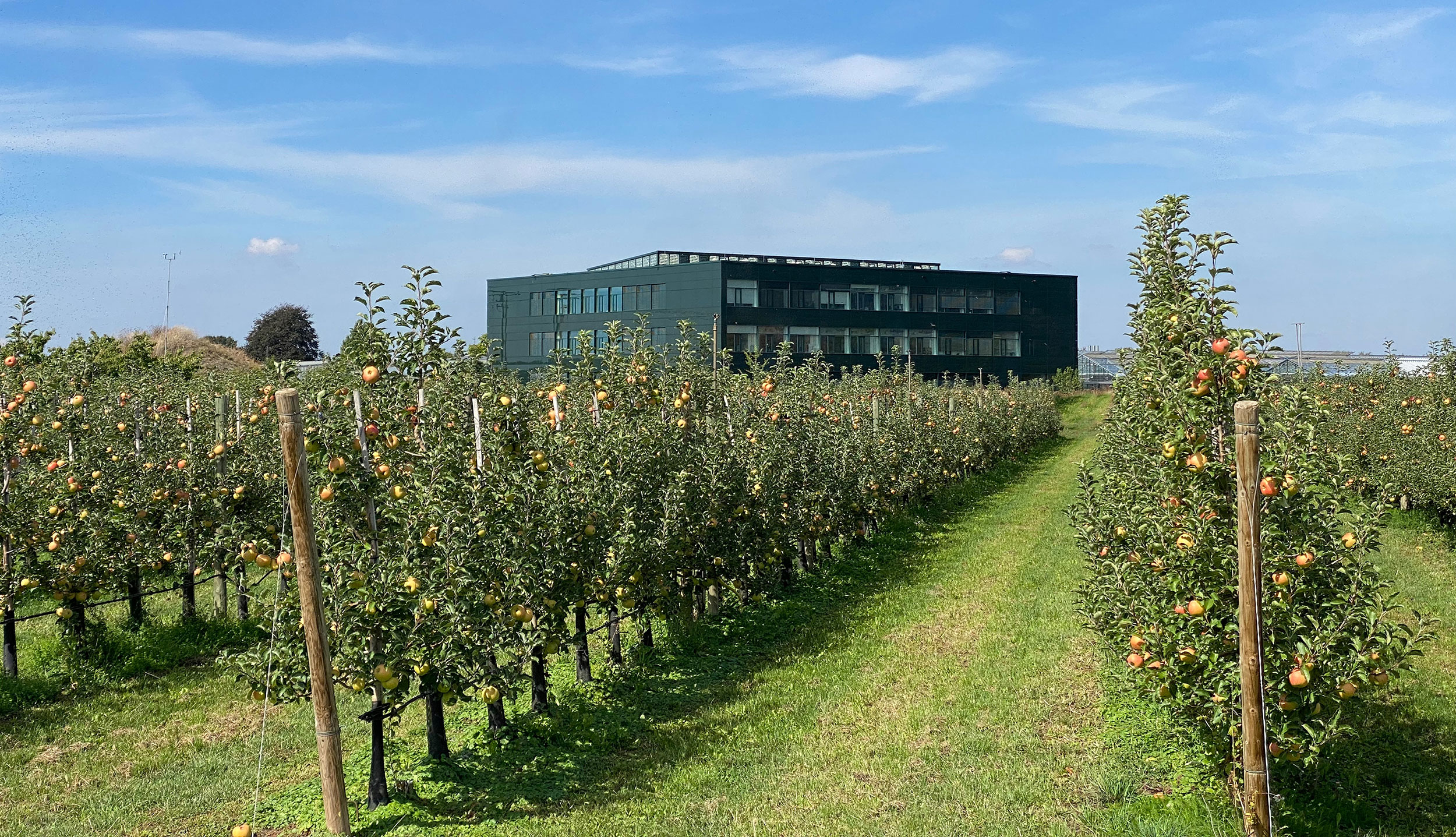 Blick zum Gebäude von der Obstplantage