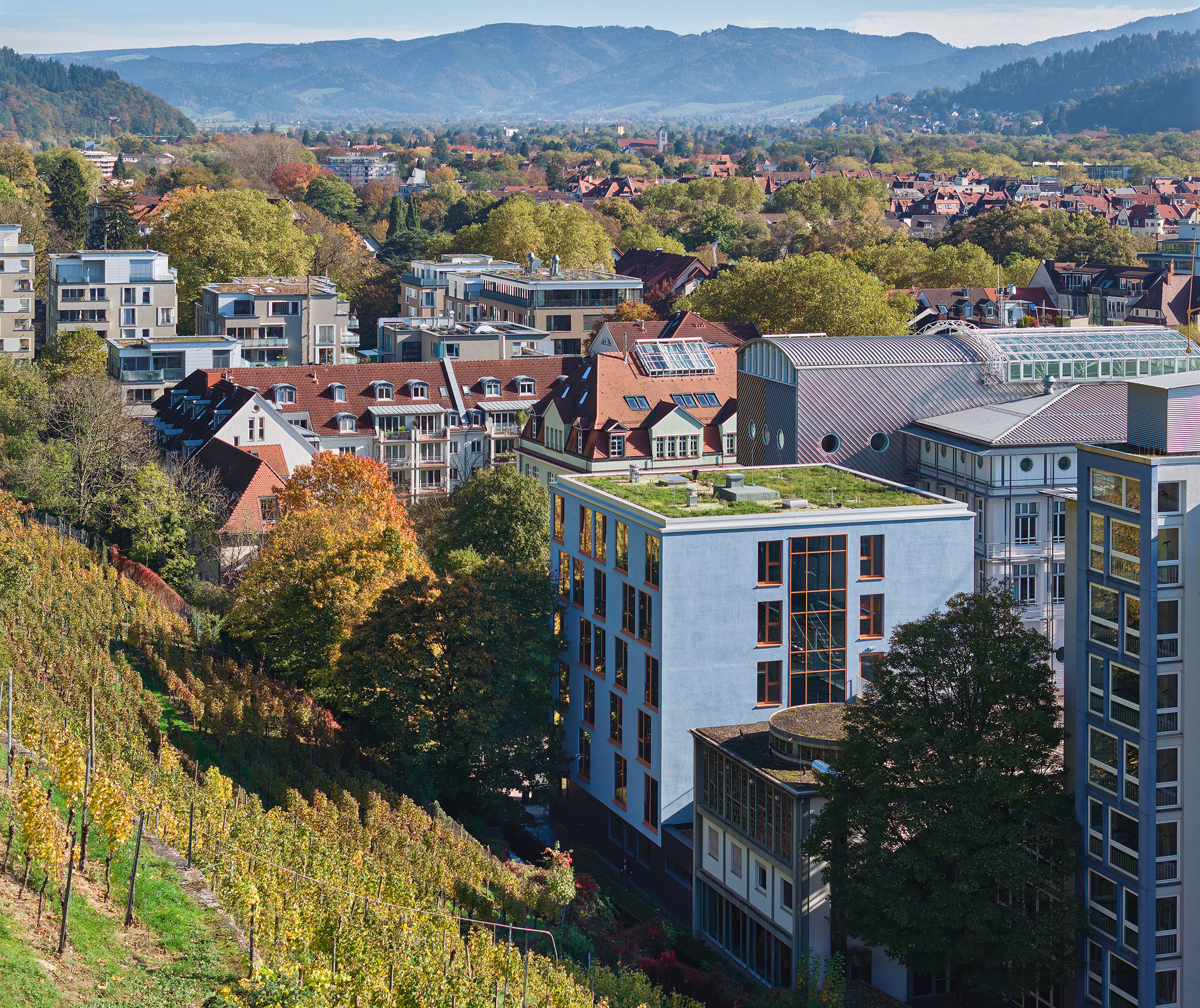 Blick vom Schlossberg